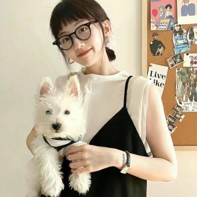 纳瓦尼事件簿